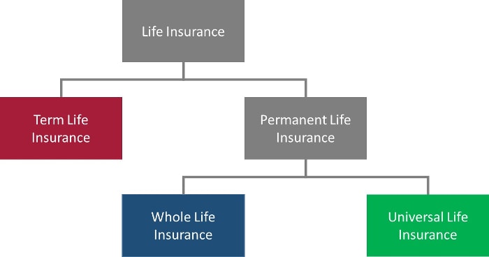 term-life-insurance-vs-whole-life-insurance-vs-universal-life-insurance